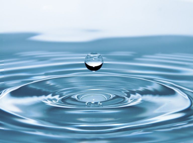 Featured image for Sustainability