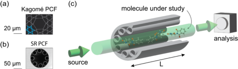 Photonic Crystal Fibers for monitoring of chemical reactions (Image: CRT/FAU)